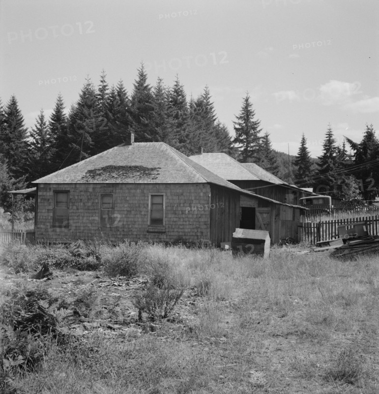 Possibly: Company houses of closed mill..., Malone, Grays Harbor County, Western Washington, 1939. Creator: Dorothea Lange.