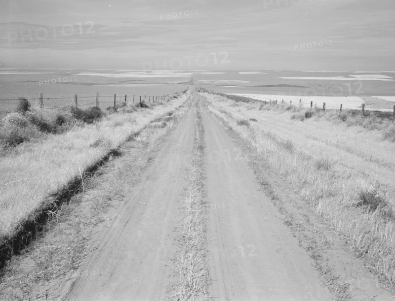 Western wheat country in a region which yields over twenty five..., Umatilla County, Oregon, 1939. Creator: Dorothea Lange.
