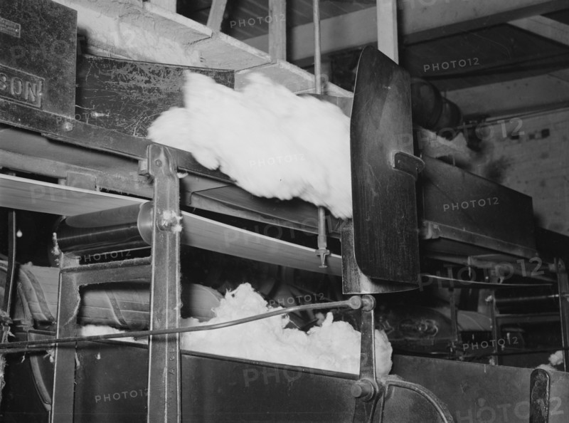 Cotton from the bale is transported by belt to...making cotton bats, Laurel, Mississippi, 1939. Creator: Dorothea Lange.