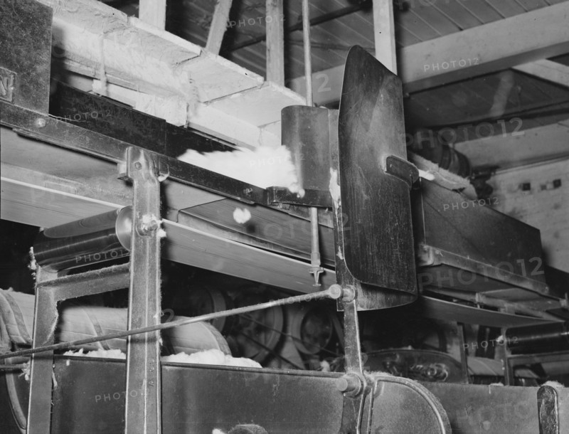 Cotton from the bale is transported by belt...for making bats, Laurel, Mississippi, 1939. Creator: Dorothea Lange.