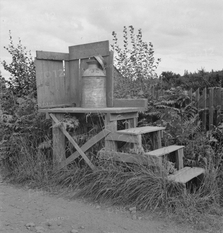 Kytta family, FSA borrowers on non-commercial experiment, Michigan Hill, Washington, 1939. Creator: Dorothea Lange.