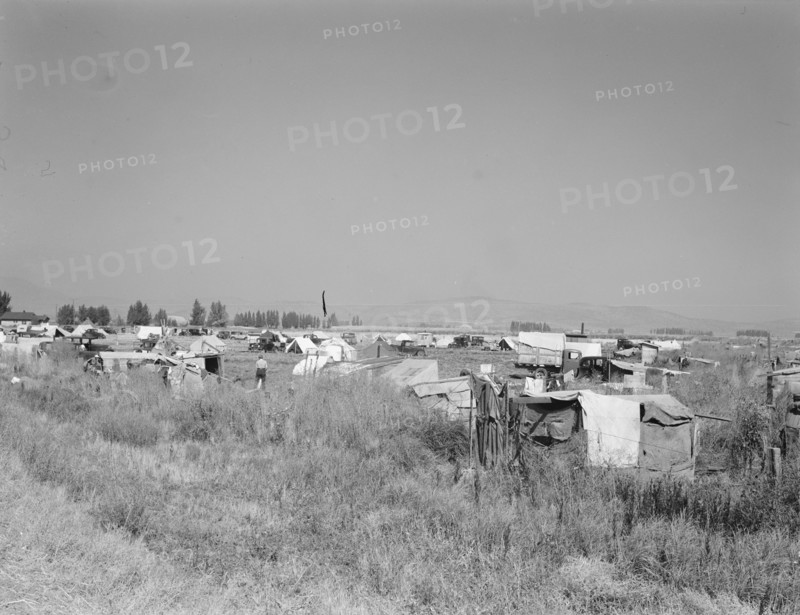 Families camped on flat before season opens..., near Merrill, Klamath County, Oregon, 1939 Creator: Dorothea Lange.