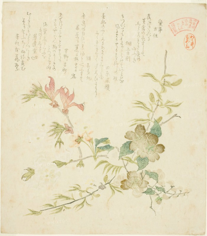 Various Spring Flowers, from the series "Springtime Plants and Trees for the Kasumi Poe..., c. 1820. Creator: Kubo Shunman.