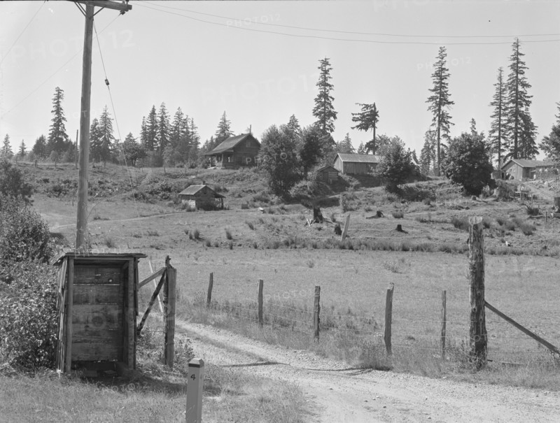 Western Washington stump farm, near Vader, Lewis County, Washington, 1939. Creator: Dorothea Lange.