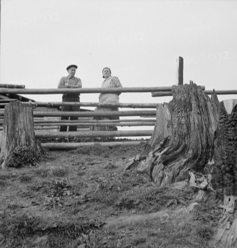 Possibly: Farm family in the cut-over land, Priest River Valley, Bonner County, Idaho, 1939. Creator: Dorothea Lange.