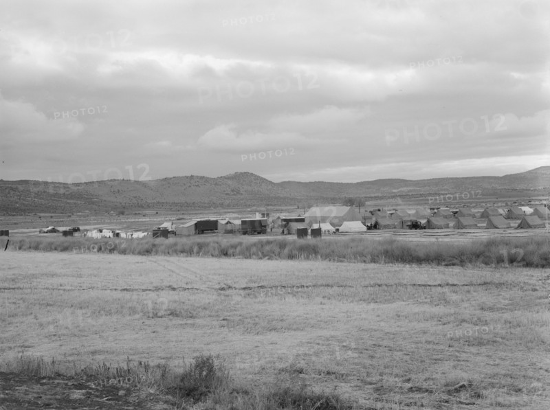 Wide view of the first mobile camp unit (FSA), situated in the Klamath Basin, Oregon, 1939. Creator: Dorothea Lange.