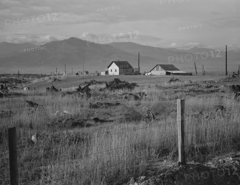 New home, new fence, newly cleared land of farme..., Priest River Valley, Bonner County, Idaho, 1939 Creator: Dorothea Lange.