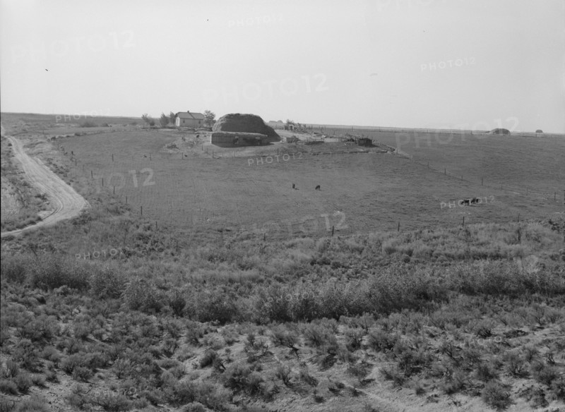 Landscape showing home of FSA borrower..., Nyssa Heights, Malheur County, Oregon, 1939. Creator: Dorothea Lange.