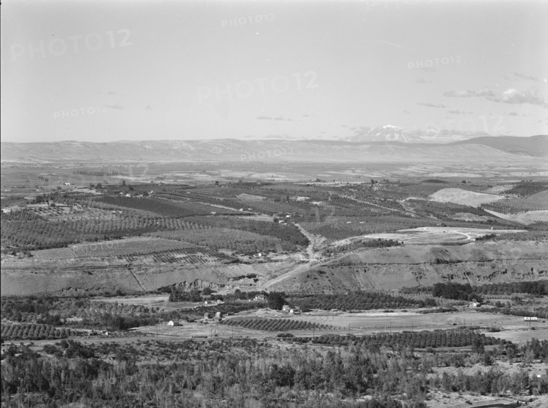 Possibly: Looking down on part of the Valley, approximately six miles from Yakima, Washington, 1939. Creator: Dorothea Lange.