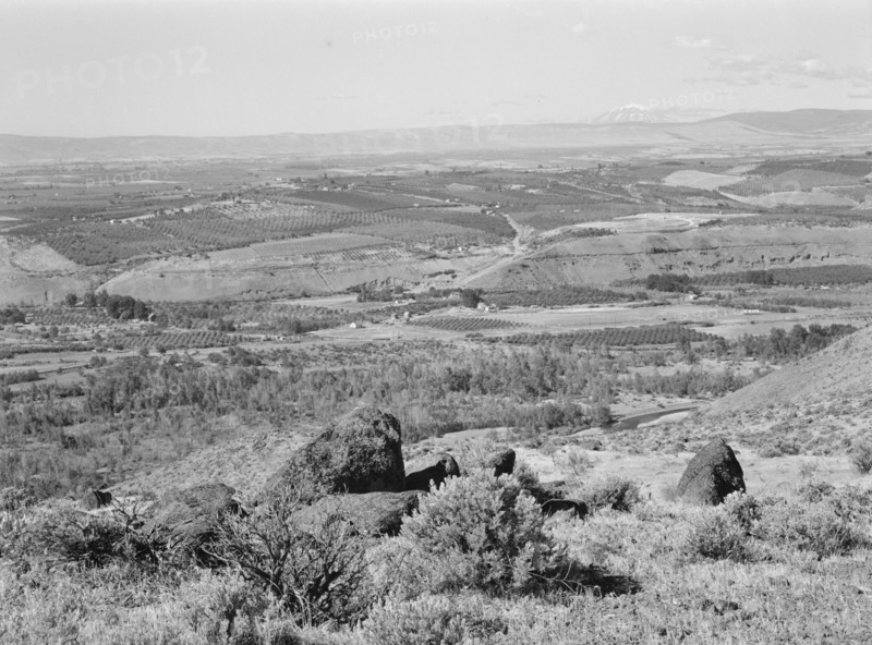 Possibly: Looking down on part of the Valley, approximately six miles from Yakima, Washington, 1939. Creator: Dorothea Lange.