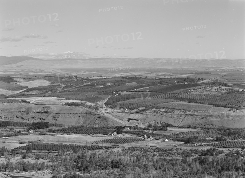 Possibly: Looking down on part of the Valley, approximately six miles from Yakima, Washington, 1939. Creator: Dorothea Lange.
