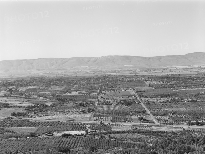 Possibly: Looking down on part of the Valley, approximately six miles from Yakima, Washington, 1939. Creator: Dorothea Lange.