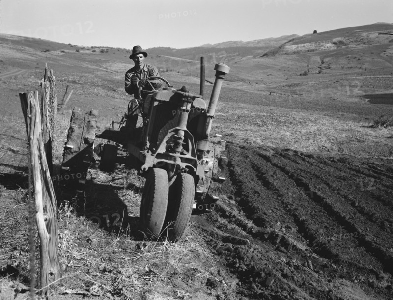 Young farmer plowing while other co-op members..., Ola self-help sawmill co-op, Gem County, 1939. Creator: Dorothea Lange.