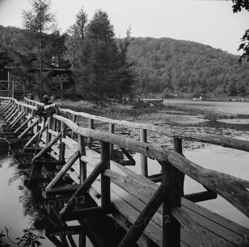 The view from the bridge at Camp Gaylord White and Ellen Marvin, Arden, New York, 1943. Creator: Gordon Parks.