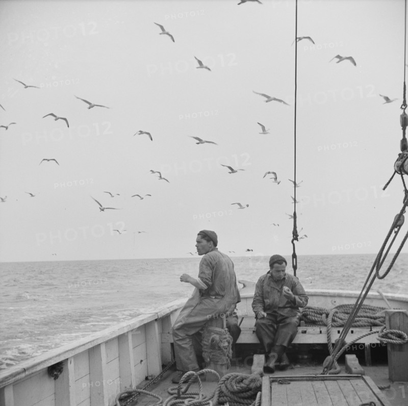 On board the fishing boat Alden, out of Gloucester, Massachusetts, 1943. Creator: Gordon Parks.