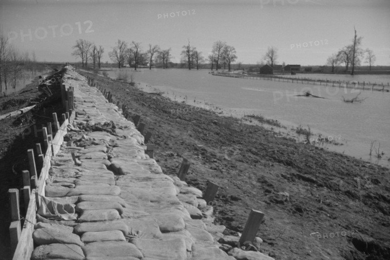 The Bessie Levee, along a subsid...Mississippi River, near Tiptonville, Tennessee, 1937. Creator: Walker Evans.