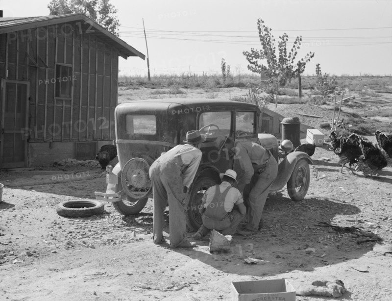 Stephens brothers, who own combine cooperatively..., Nyssa Heights district, Oregon, 1939. Creator: Dorothea Lange.