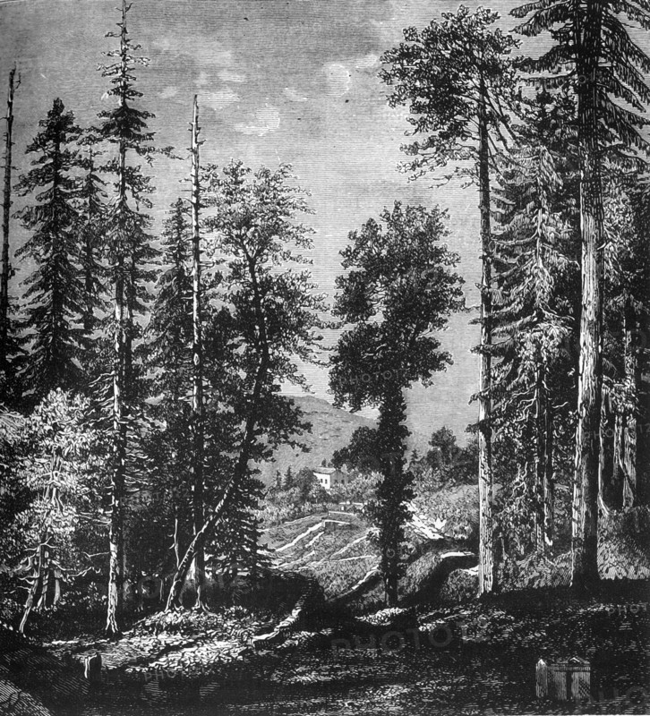 'View in the Himalayas', c1891. Creator: James Grant.