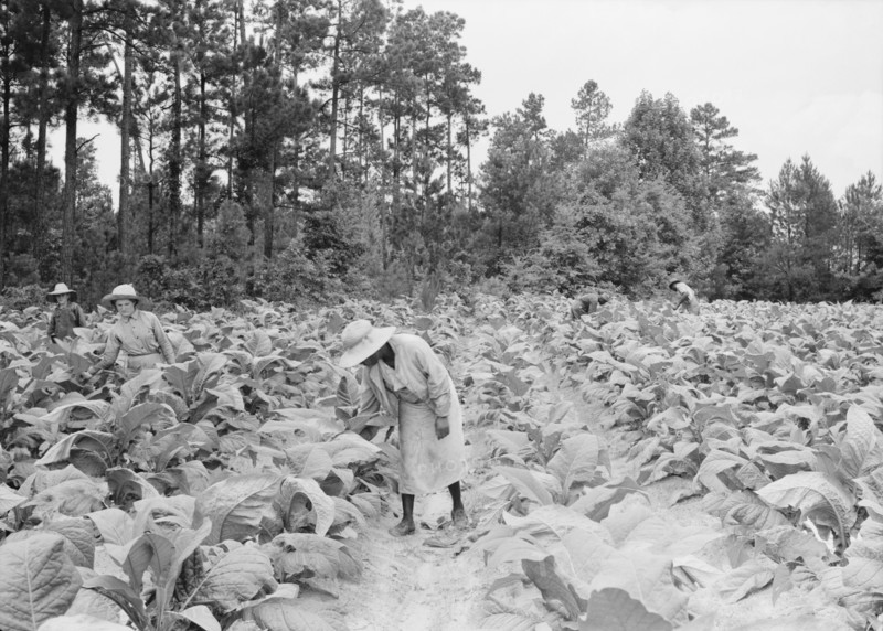 Negro tenants, men and women, and white owner's children..., Granville County, North Carolina, 1939. Creator: Dorothea Lange.