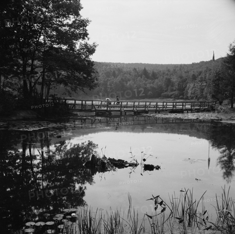 Bridge and background scenery, Camp Gaylord White, Arden, New York, 1943. Creator: Gordon Parks.