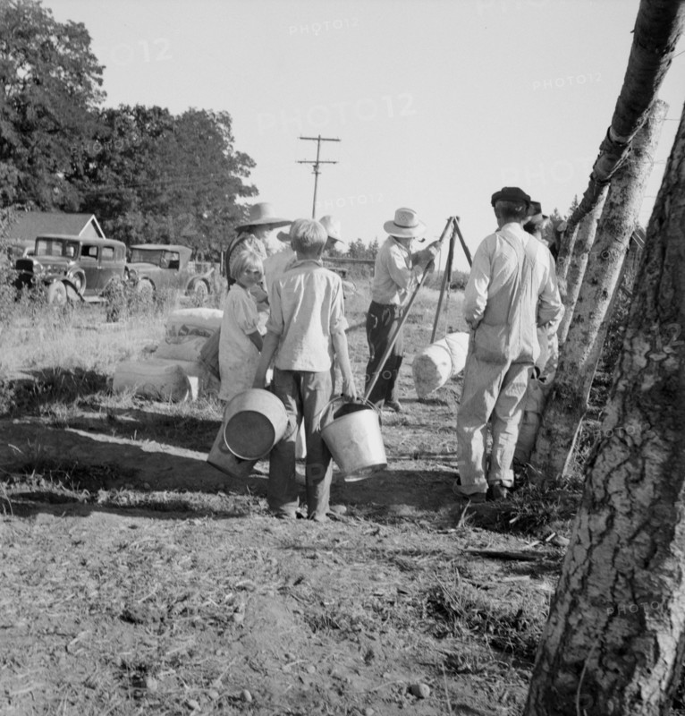 Possibly: Weighing beans at scales on edge of field, near West Stayton, Marion County, Oregon, 1939. Creator: Dorothea Lange.