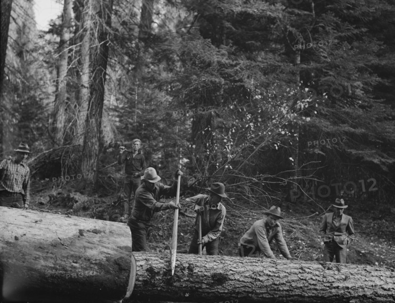 Members of Ola self-help sawmill co-op rolling white fir log..., Gem County, Idaho, 1939. Creator: Dorothea Lange.