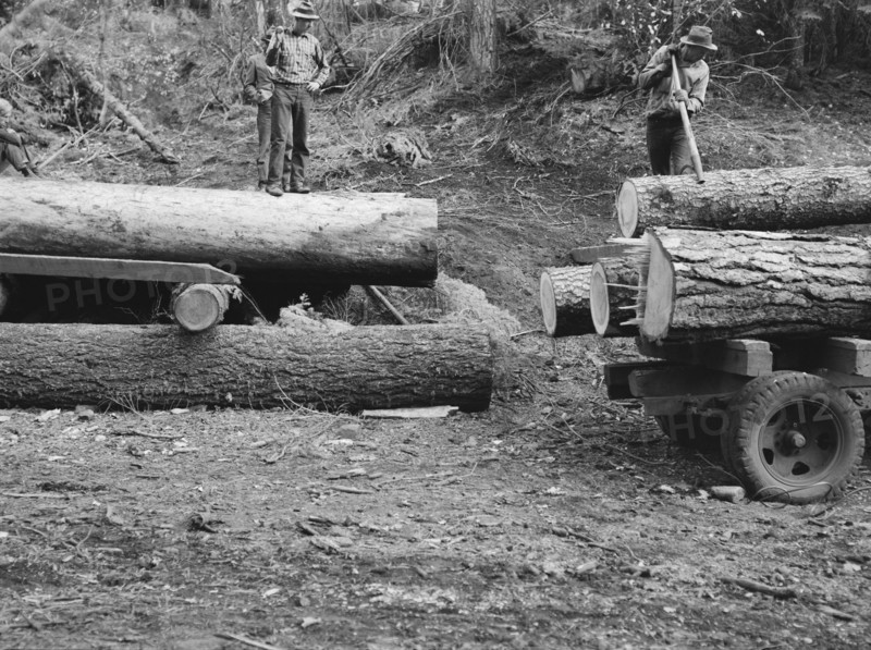 Members of Ola self-help sawmill co-op rolling white fir log..., Gem County, Idaho, 1939. Creator: Dorothea Lange.