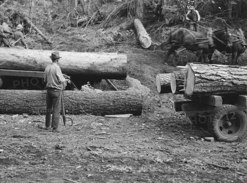 Members of Ola self-help sawmill co-op rolling white fir log..., Gem County, Idaho, 1939. Creator: Dorothea Lange.