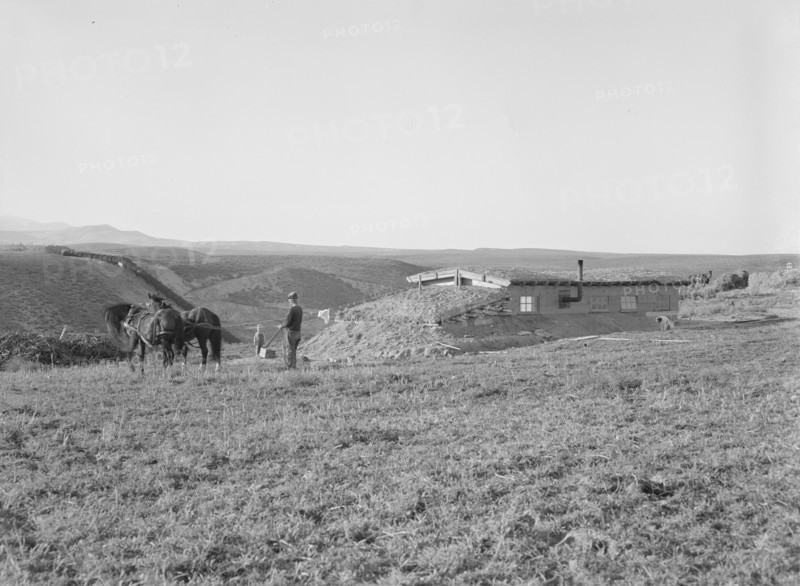The Daugherty home, Warm Springs district, Malheur County, Oregon, 1939. Creator: Dorothea Lange.