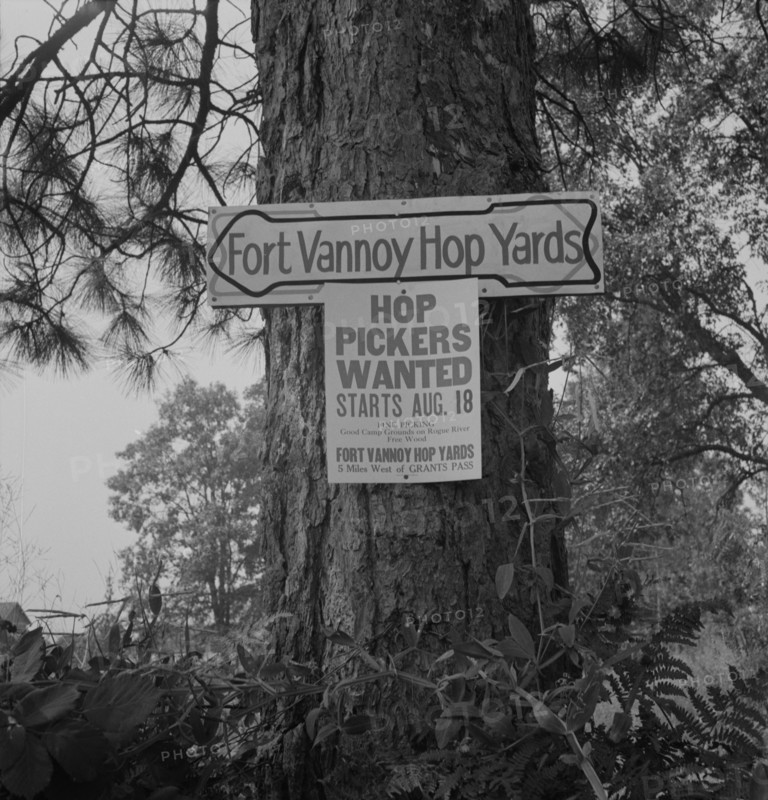 On road off main highway, leading to Roque River, near Grants Pass, Josephine County, Oregon, 1939. Creator: Dorothea Lange.