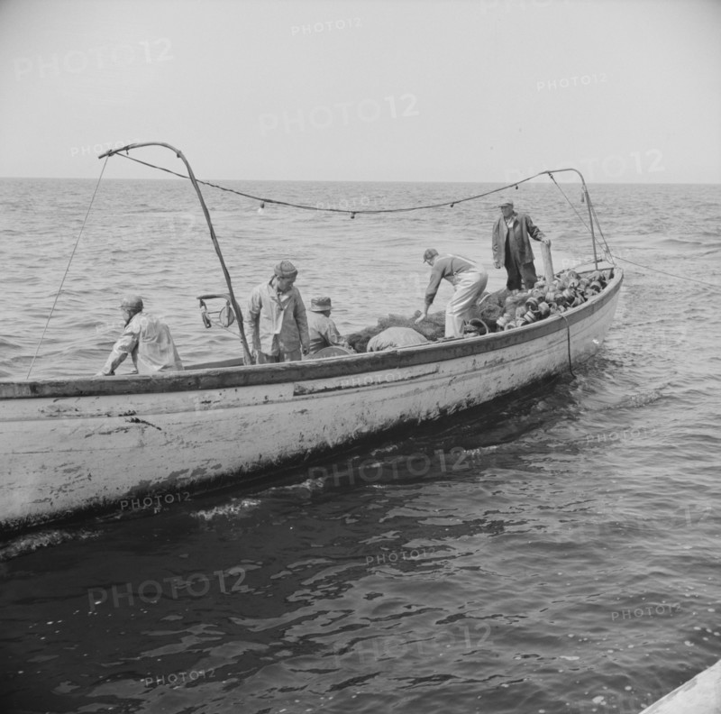 Possibly: On board the fishing boat Alden, out of Gloucester, Massachusetts, 1943. Creator: Gordon Parks.