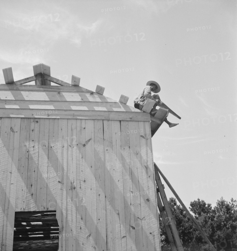 Building barn for tobacco, near Chapel Hill, North Carolina, 1939. Creator: Dorothea Lange.