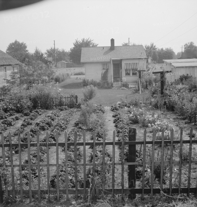 In Sumac Park, Yakima, Washington, 1939. Creator: Dorothea Lange.