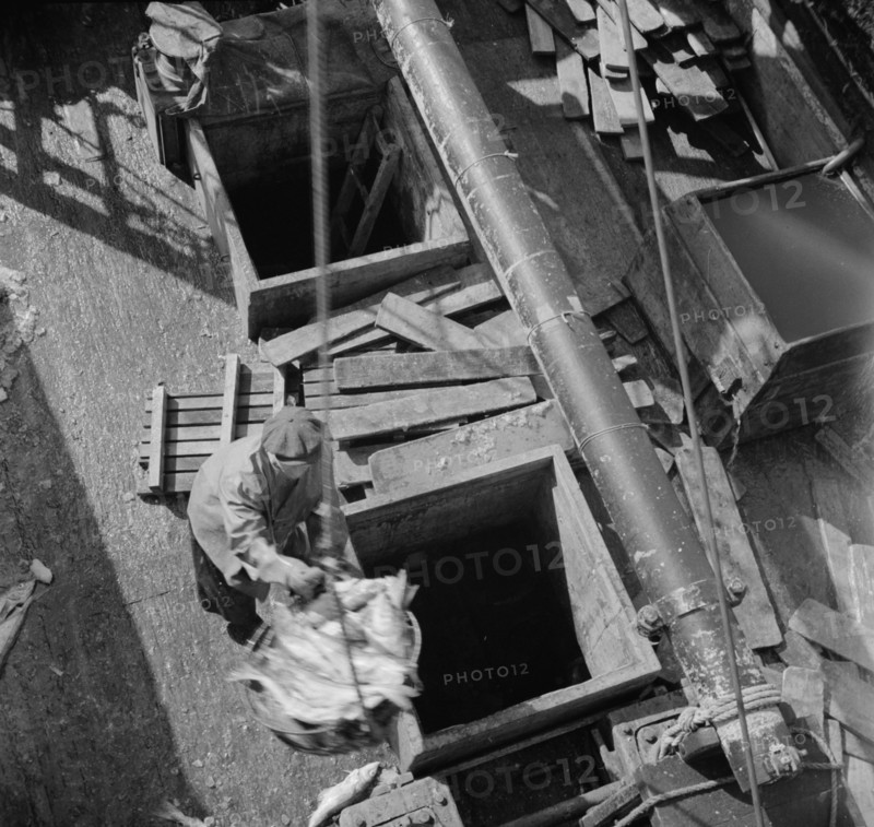 Possibly: Unloading fish from the hold of a New England fishing boat at the..., New York, 1943. Creator: Gordon Parks.