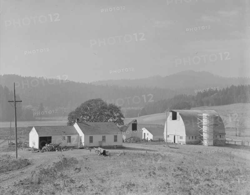 Unit no. 32 of Yamhill farms, Oregon, 1939. Creator: Dorothea Lange.