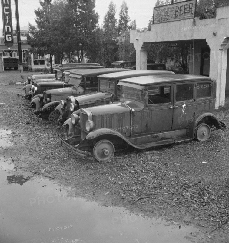 Roadside used car display on State Highway 17, Santa Clara County, California, 1939. Creator: Dorothea Lange.