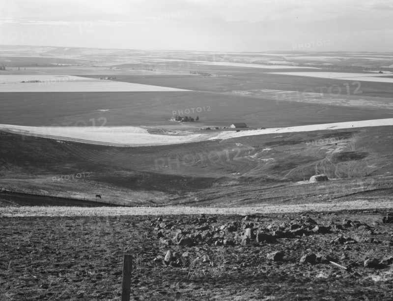 Looking down the newly plowed wheat fields of the Umatilla Valley, Oregon, 1939. Creator: Dorothea Lange.