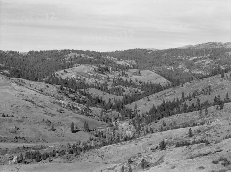 Upper end of Squaw Creek Valley..., Ola self-help sawmill co-op, Gem County, Idaho, 1939. Creator: Dorothea Lange.