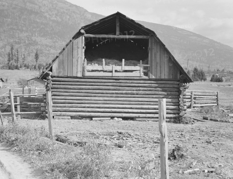 Log barn, FSA borrower plans to develop dairy ranch, Boundary County, Idaho, 1939. Creator: Dorothea Lange.