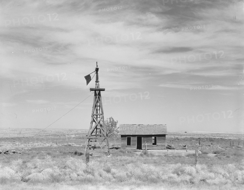Deserted dryland farm in the Columbia Basin, south of Quincy, Grant County, Washington, 1939. Creator: Dorothea Lange.