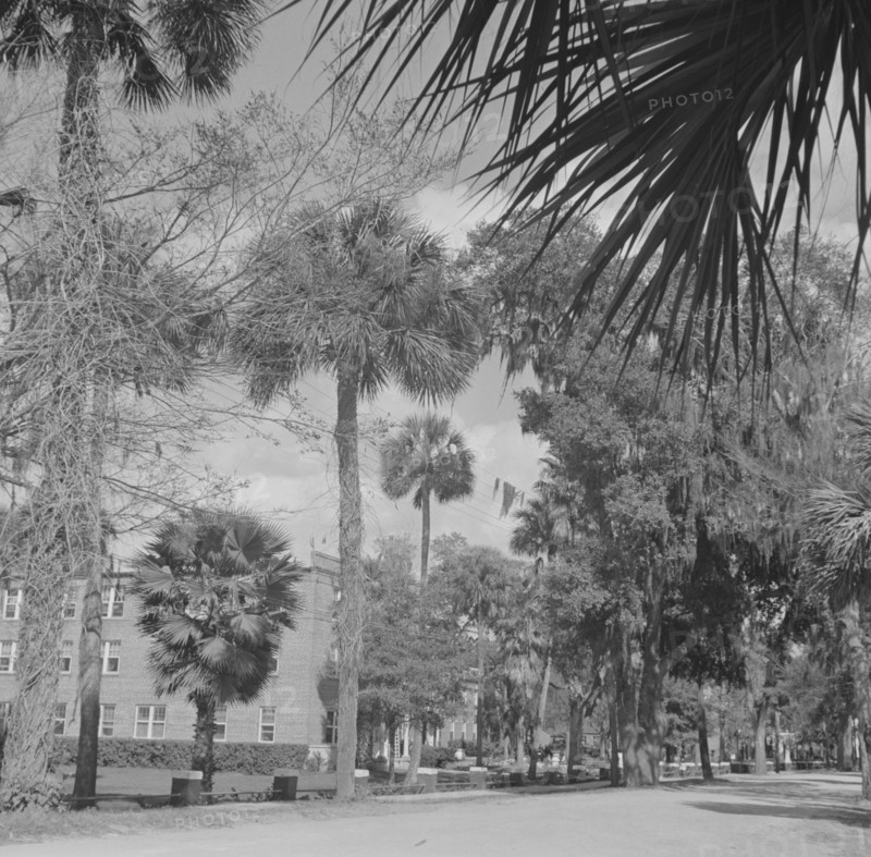 Possibly: Bethune-Cookman College, Daytona Beach, Florida, 1943. Creator: Gordon Parks.