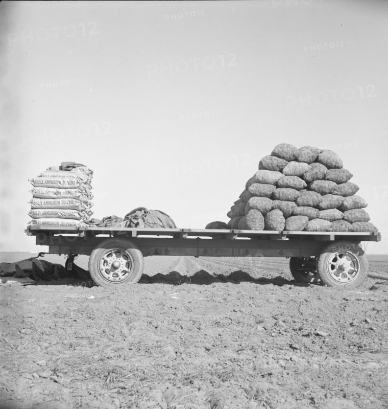 Supply of fertilizer and potato seed on edge of field..., Kern County, California, 1939. Creator: Dorothea Lange.