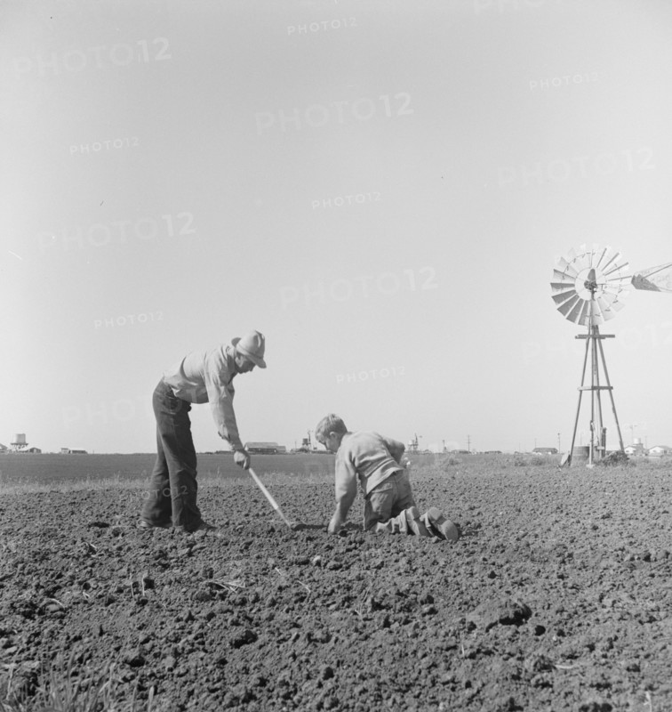 Father and son planting potatoes, outskirts of Salinas, California, 1939. Creator: Dorothea Lange.