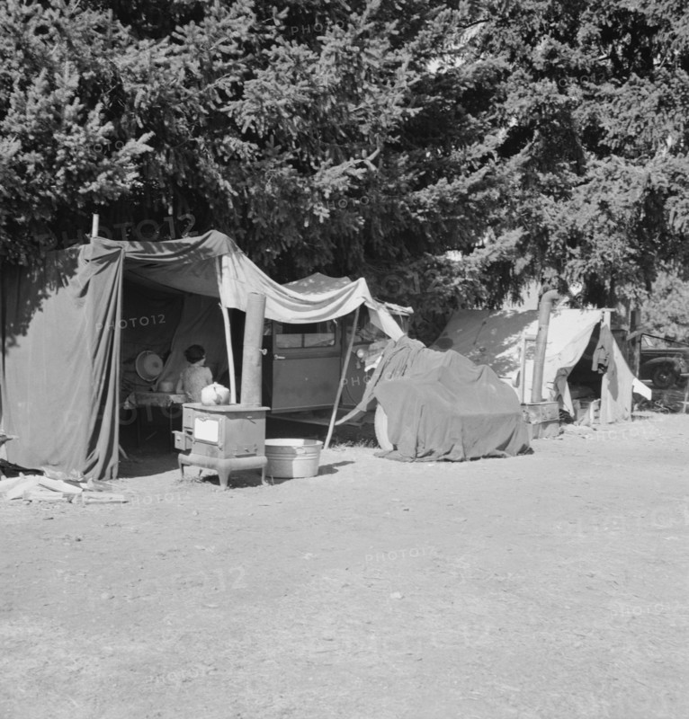 Camp representative of fourteen in group, near West Stayton, Marion County, Oregon, 1939. Creator: Dorothea Lange.