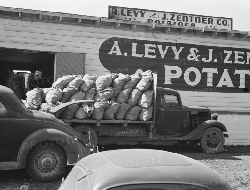 The potato shed during busy season, Tulelake, Siskiyou County, California, 1939. Creator: Dorothea Lange.
