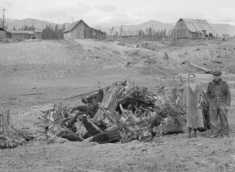 Possibly: The Unruf family, stump pile, and their partly developed farm, Boundary County, Idaho,1939 Creator: Dorothea Lange.