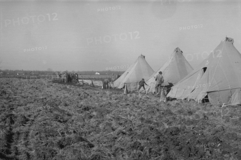Possibly: Setting up a tent in the camp for white flood refugees, Forrest City, Arkansas, 1937. Creator: Walker Evans.