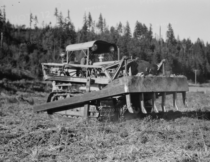 Possibly: Bulldozer raises and pushes stump on cut-over farm, Lewis County, Western Washington, 1939 Creator: Dorothea Lange.