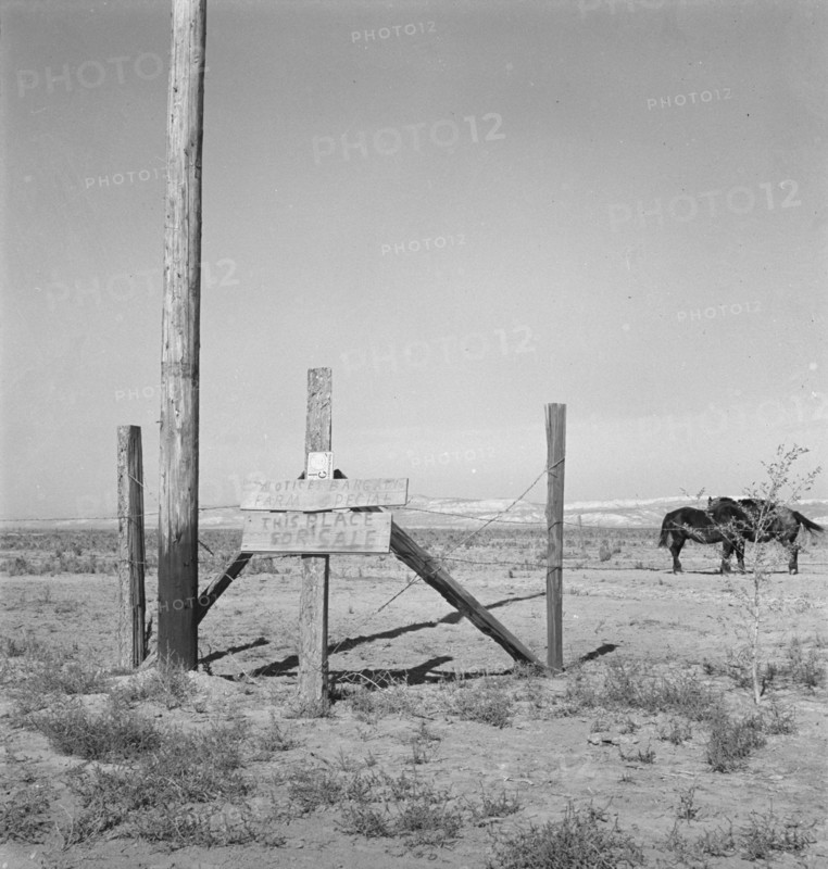 Farm for sale, Willow Creek area, Malheur County, Oregon, 1939. Creator: Dorothea Lange.
