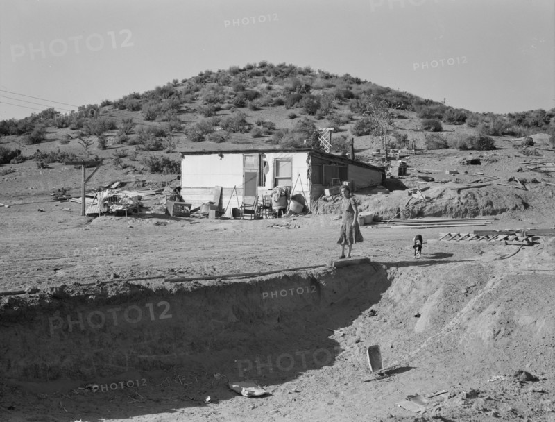 New farm in Cow Hollow, Malheur County, Oregon, 1939. Creator: Dorothea Lange.